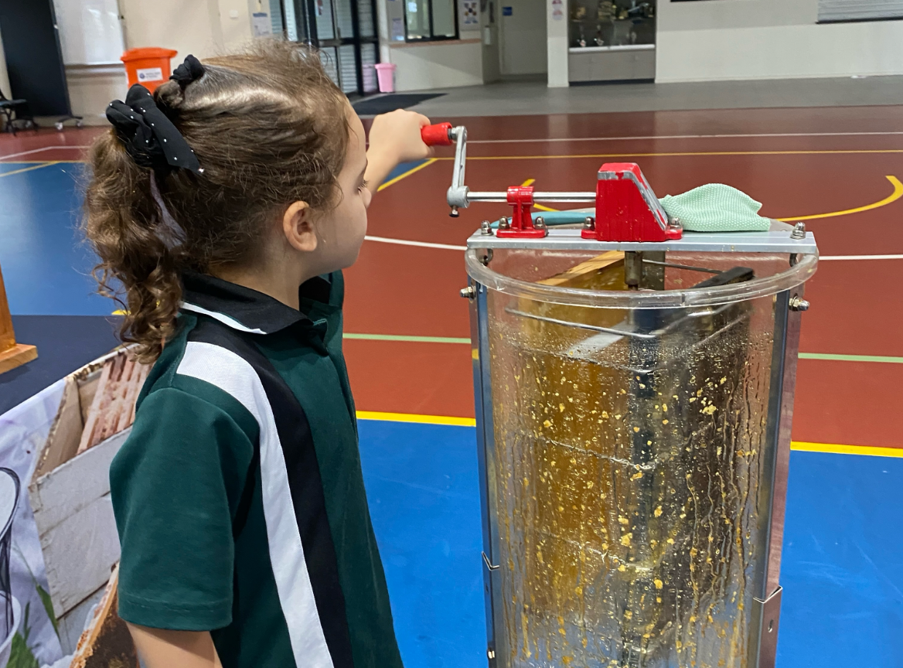 Prep Bee Excursion