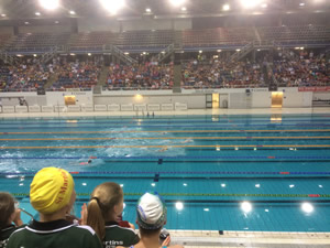 swim.jpg