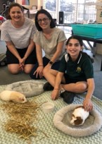 Students seated on a classroom floor interacting with two rabbits resting in soft pet beds.
